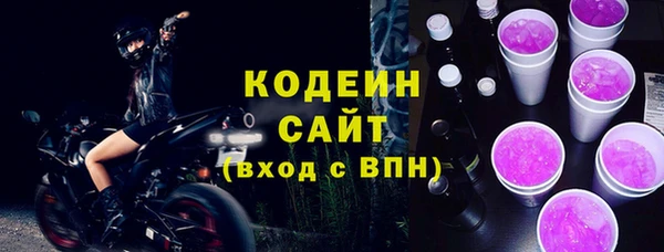 МДПВ Дмитриев