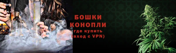 МДПВ Дмитриев