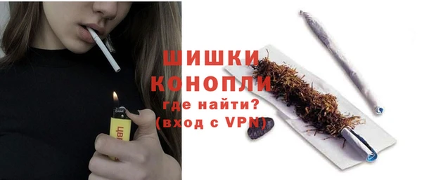 МДПВ Дмитриев