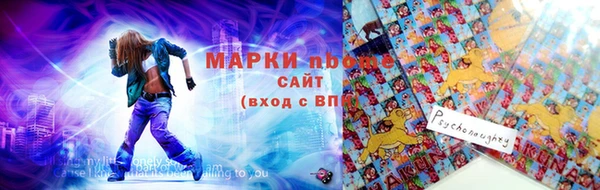МДПВ Дмитриев