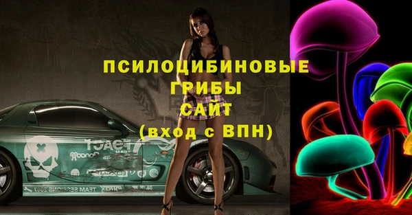 МДПВ Дмитриев