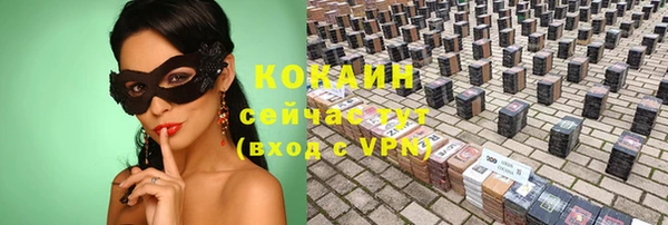 МДПВ Дмитриев