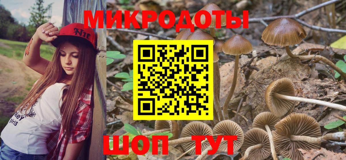 Псилоцибиновые грибы Magic Shrooms  Псилоцибиновые грибы прущие грибы  Ефремов  Вход с VPN 
