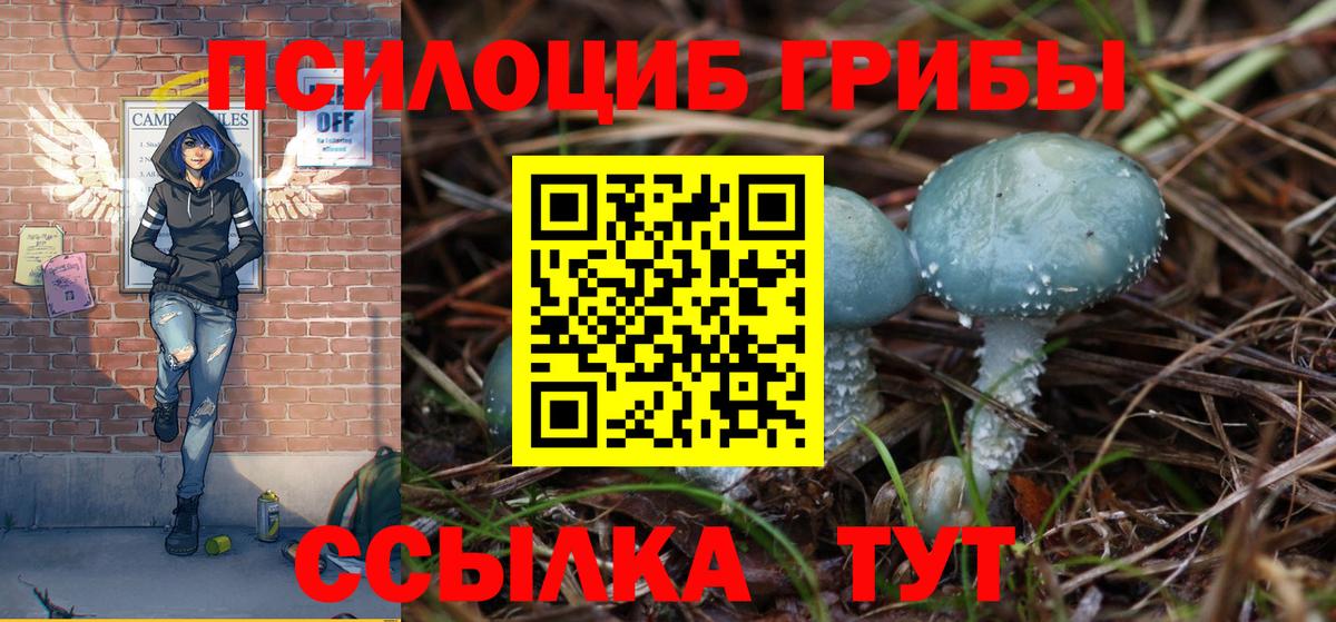 Галлюциногенные грибы Psilocybine cubensis  Ефремов 